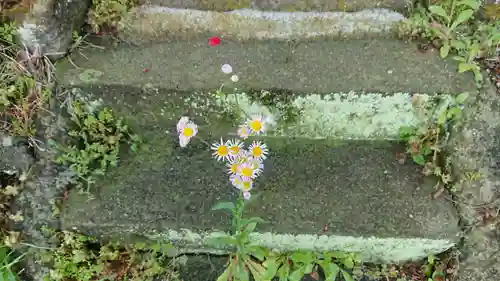 塩釜神社（塩竃神社）(静岡県)