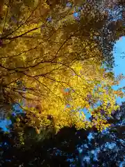 榛名神社の自然