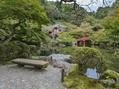 醍醐寺(京都府)