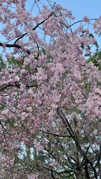 水火天満宮(京都府)