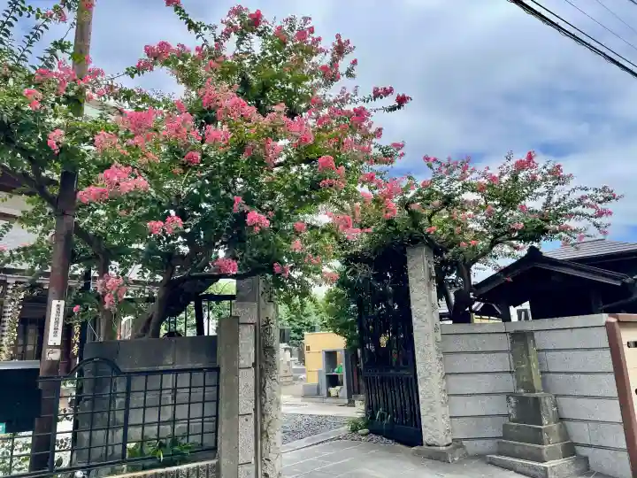 宝性寺(埼玉県)