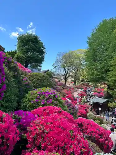 根津神社の自然