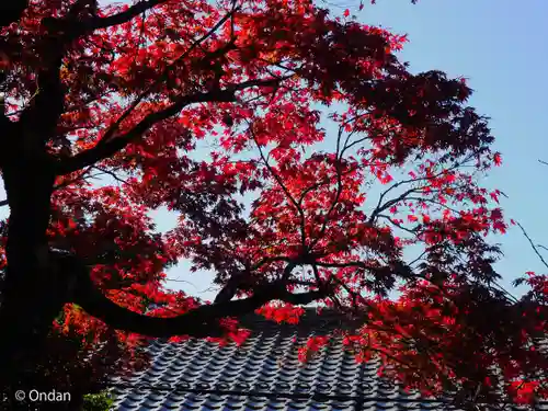 松尾寺(京都府)