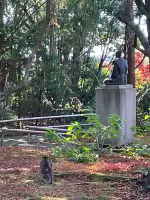 龍潭寺の動物