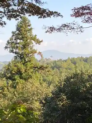 柳谷観音　楊谷寺(京都府)
