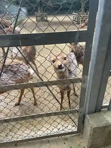 鹿島神宮(茨城県)