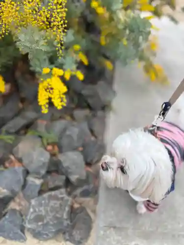遍照寺(兵庫県)