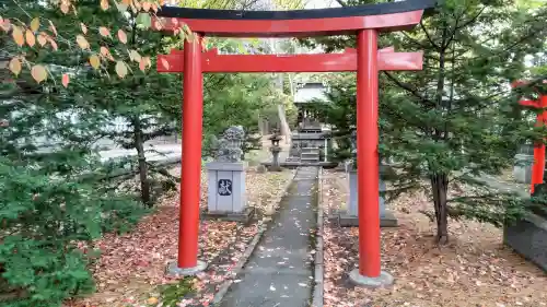 富良野神社の鳥居