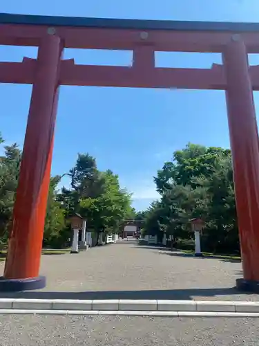 北海道護國神社の鳥居