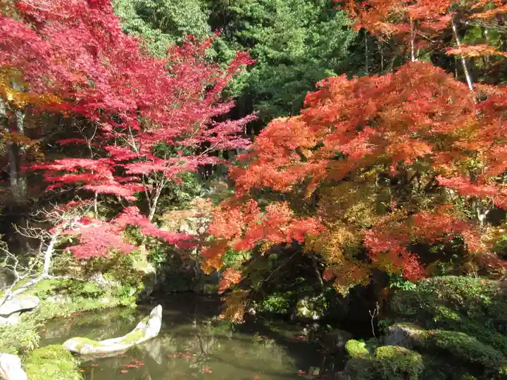金剛輪寺の自然