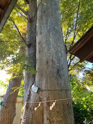 池ノ上神社(東京都)