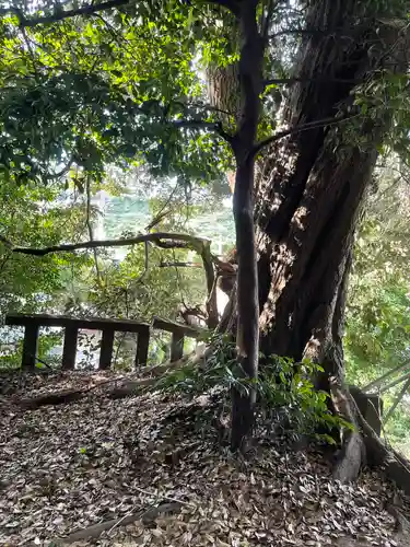 子之神社の自然