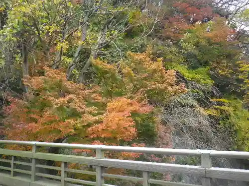 東勝寺跡の自然
