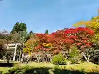 土津神社|こどもと出世の神さまの自然