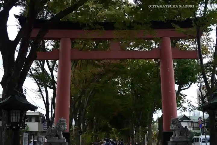 武蔵一宮氷川神社(埼玉県)