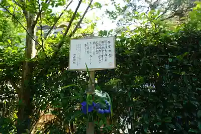 明月院(神奈川県)