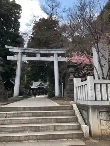 東村山八坂神社の鳥居