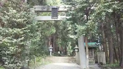 賀茂神社の鳥居