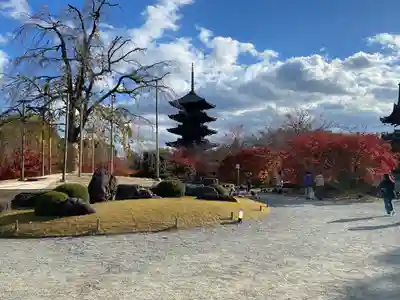 東寺（教王護国寺）(京都府)