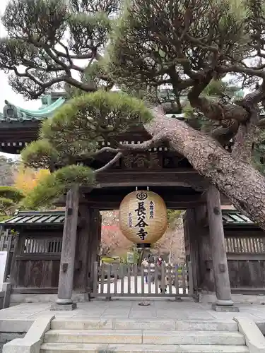長谷寺の山門・神門