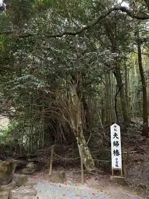 八重垣神社(島根県)