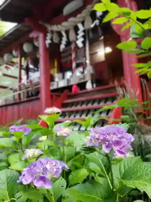 鹿角八坂神社(秋田県)