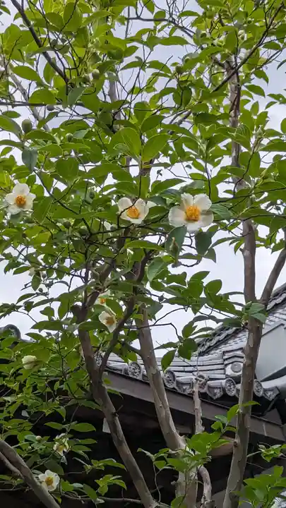 天寧寺(京都府)