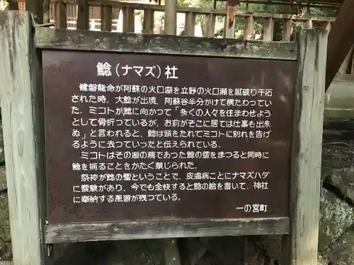 国造神社の歴史