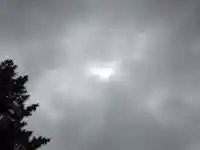 出雲大社(島根県)