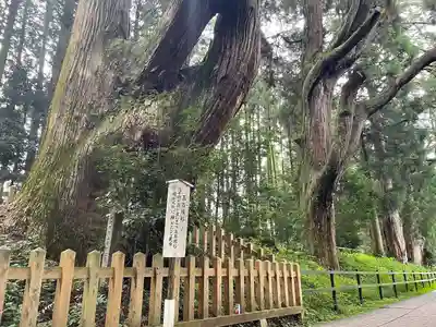 幣立神宮(熊本県)