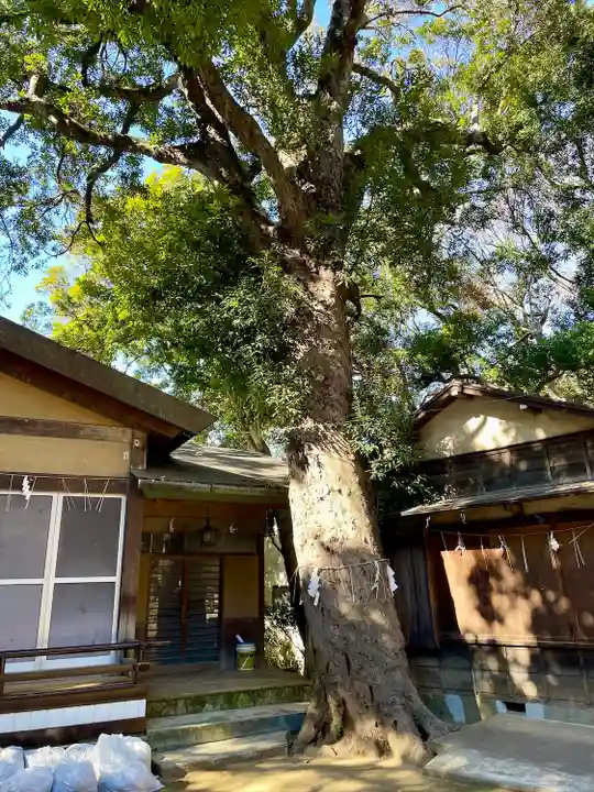 上野毛稲荷神社(東京都)