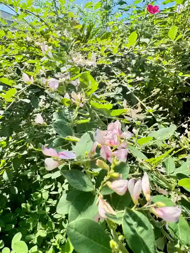 勝念寺（かましきさん）(京都府)