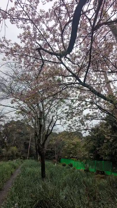 惠心院(京都府)