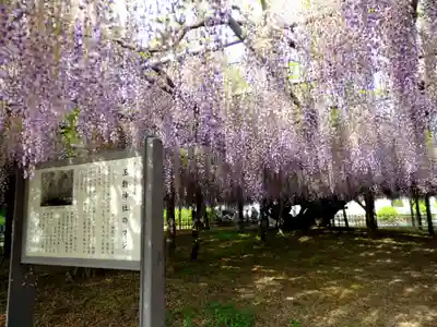 玉敷神社(埼玉県)
