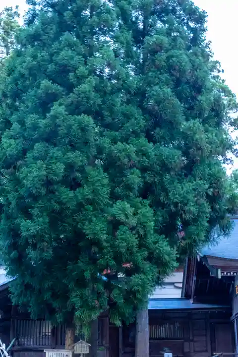 白山比咩神社(石川県)