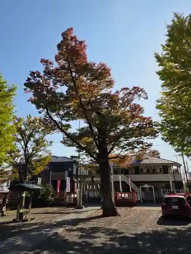 稲荷神社(神奈川県)