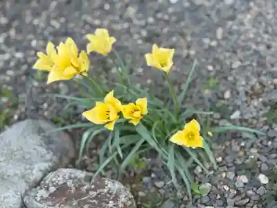 西方山極楽寺(岐阜県)