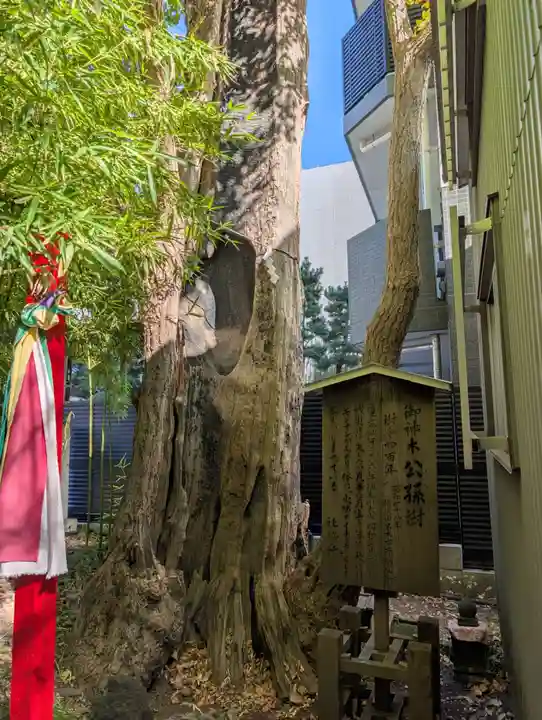 東神奈川熊野神社(神奈川県)