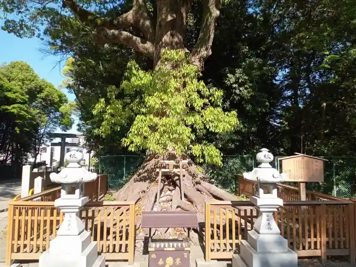 和泉國一之宮 大鳥大社(大阪府)