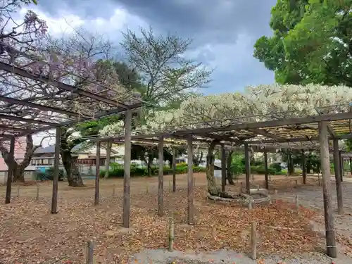 大天白神社(埼玉県)