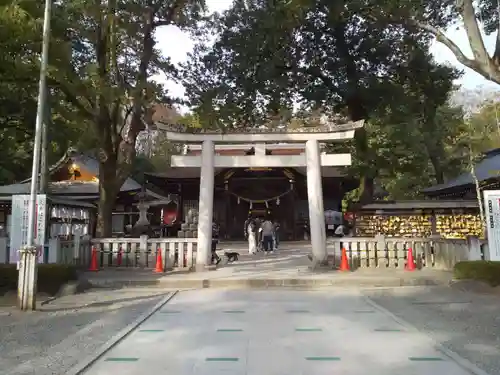 武田神社の鳥居