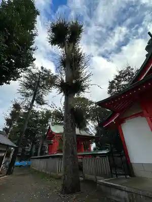 小野神社(東京都)
