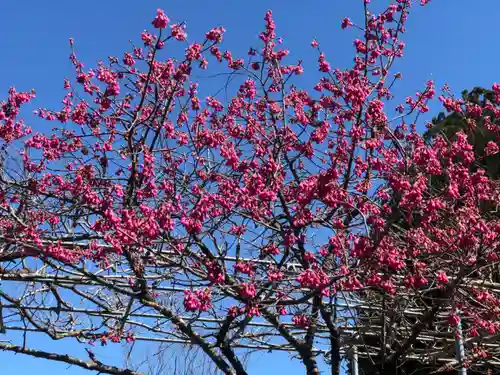大生郷天満宮の自然