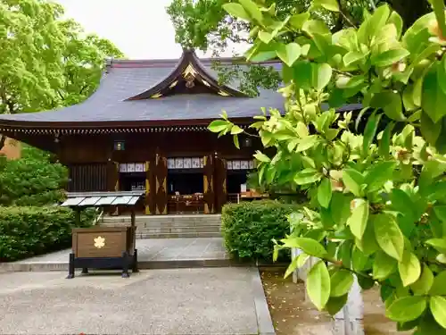 若宮八幡社の本殿・本堂