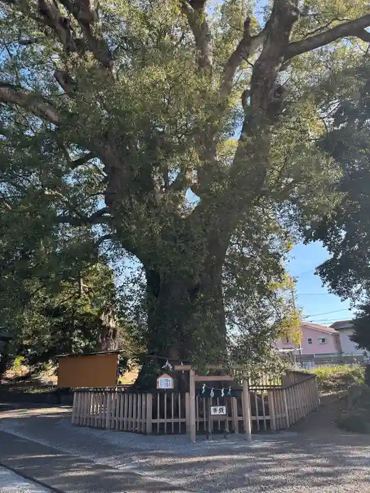 伊勢神明社(静岡県)