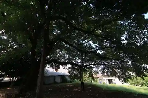 麓山神社の庭園