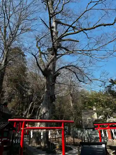 山名八幡宮の{uncategorized: "未分類", other: "その他", undefined: "問題あり", building: "その他建物", grave: "お墓", sacred_gate: "鳥居", guardian: "狛犬", statue: "像", buddha: "仏像", history: "歴史", nature: "自然", garden: "庭園", animal: "動物", pagoda: "塔", temizu: "手水舎", mountain_gate: "山門・神門", sanctuary: "本殿・本堂", subordinate: "末社・摂社", art: "芸術", scenery: "景色", jizo: "地蔵", ema: "絵馬", goshuin: "御朱印", omikuji: "おみくじ", items: "授与品その他", amulet: "お守り", goshuincho: "御朱印帳", eats: "食事", festival: "お祭り", votive_dance: "神楽", shichigosan: "七五三参", wedding: "結婚式", experience: "体験その他", initially: "初詣", around: "周辺", anti_infection: "感染症対策"}