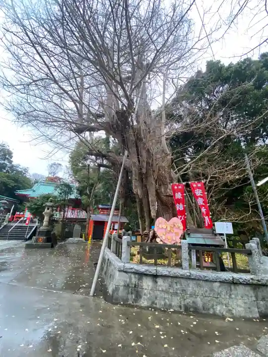 海南神社の自然