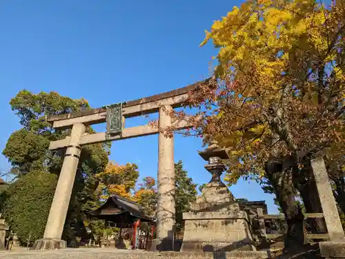 豊国神社の鳥居