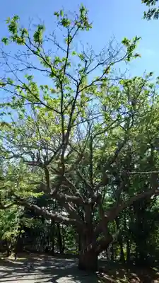 相馬神社(北海道)